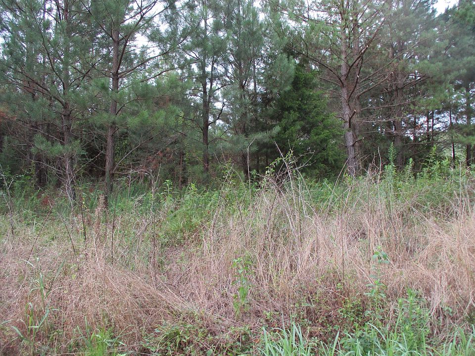 2nd image of 4848 Highway 100