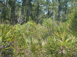 114 Booster Rd NW, Lake Placid, FL 33852