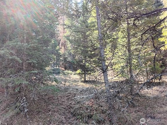 2nd image of 44 Trapline Loop Road