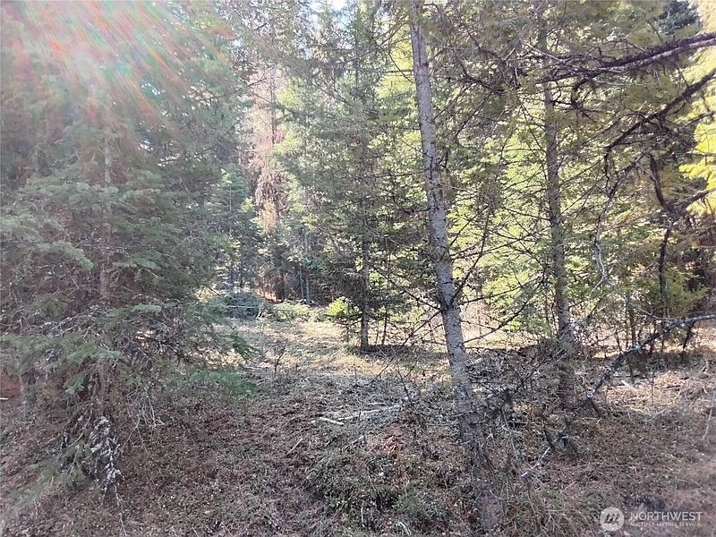 2nd image of 44 Trapline Loop Road
