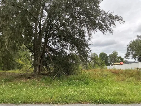 169TH STREET LOT 18, OCALA, FL 34473