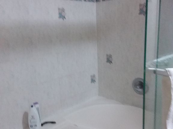 Jacuzzi Shower/tub