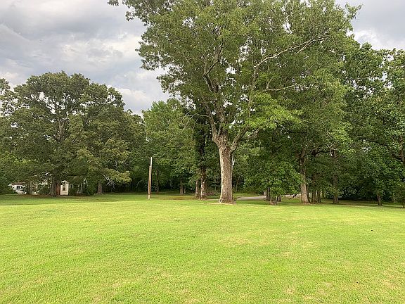 Front yard (Northeast)