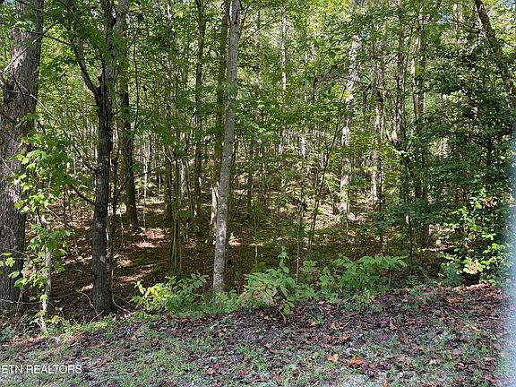 3rd image of Bear Hollow Rd