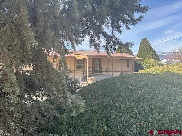 9879 Horseshoe Lane, Austin, CO 81410