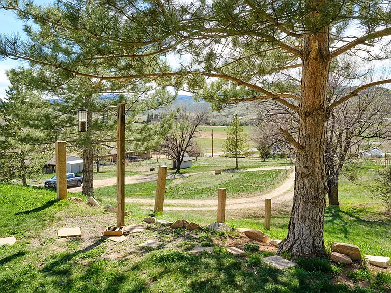 2908 Black Fox Run Ln — Photo 29