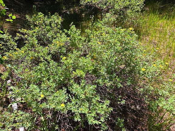 5th image of 858 County Road 358