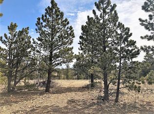 168 Yazzi Dr, Hartsel, CO 80449