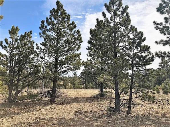 168 Yazzi Dr, Hartsel, CO 80449