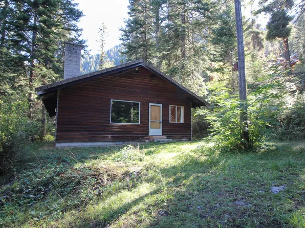 84745 Beske Ln, Joseph, OR 97846