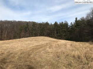 Tbd Lower Nettle Knob Rd, West Jefferson, NC 28694