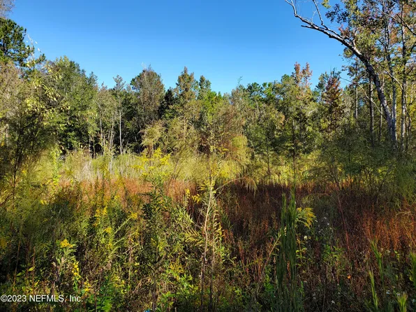 234 ASTER Avenue, Middleburg, FL 32068
