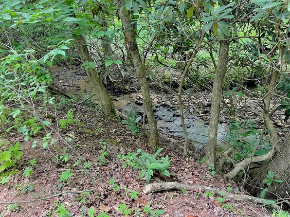 2 Lower Fox Trl, Blairsville, GA 30512