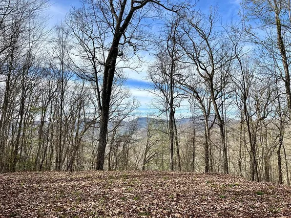 53 Lyle Mountain Trl, Franklin, NC 28734