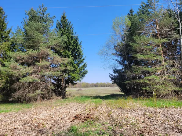 Edward Rd, Fostoria, MI 48435