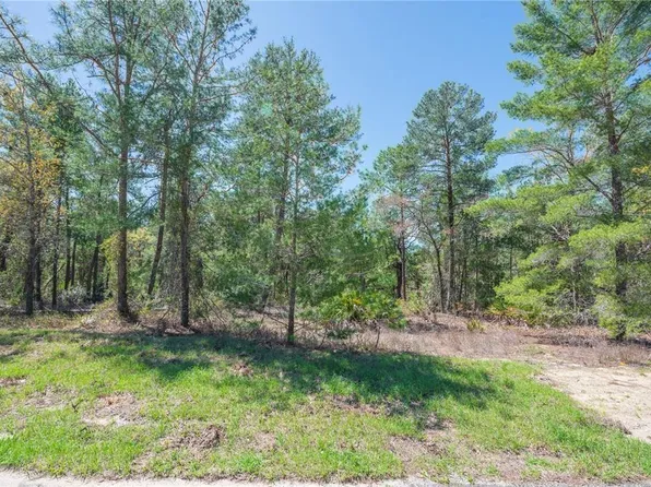 6 Heuchera Ct E #3, Homosassa, FL 34446