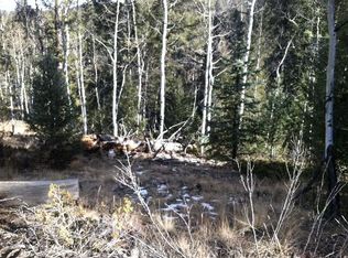 48 Kenosha Way, Florissant, CO 80816