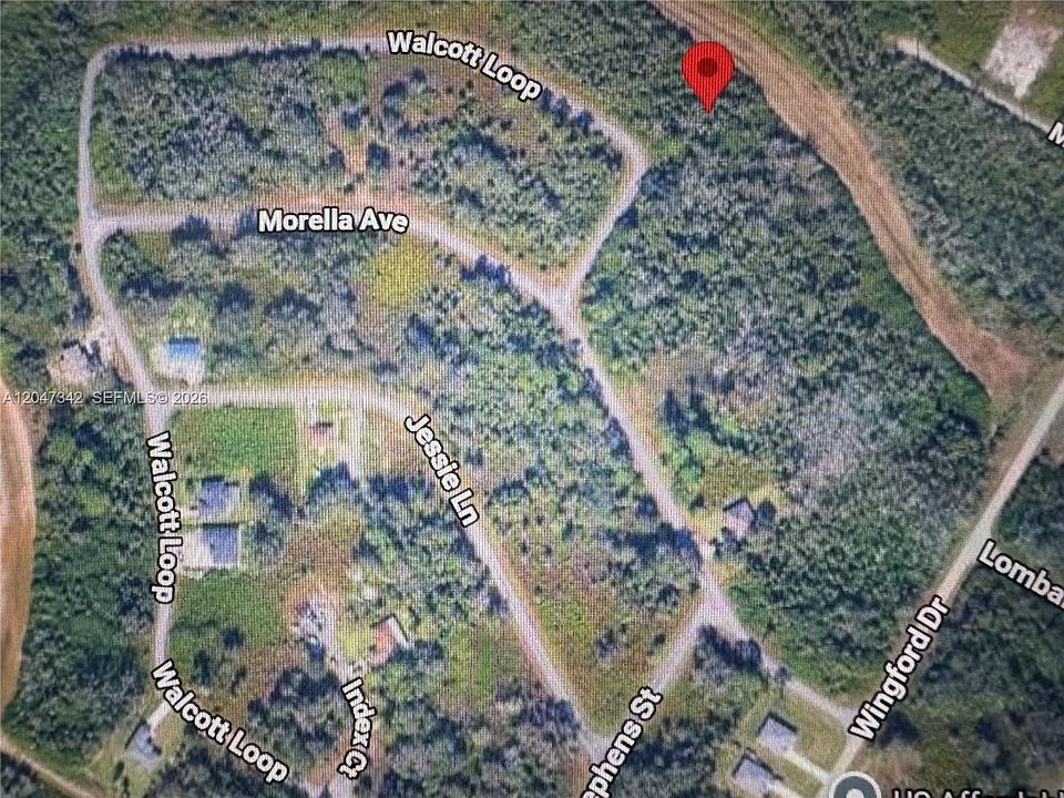 1st image of 1991 Walcott Loop