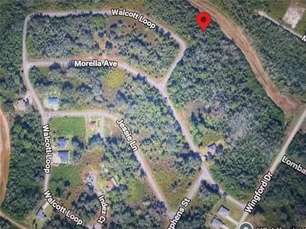 1991 Walcott Loop, Lehigh Acres, FL 33972