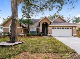 4551 Oak River Cir, Valrico, FL 33596