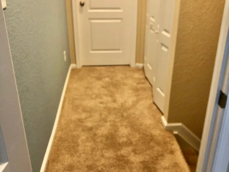 4805 Carnelian Way — Photo 31