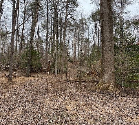 4th image of Lee Hwy