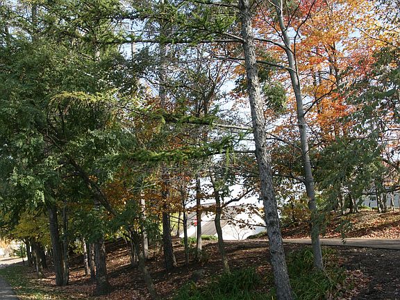 4th image of 5051 Breezewood Ln
