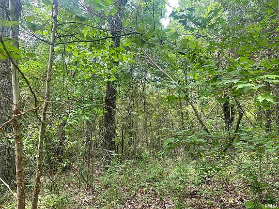 2nd image of 0 Knob Creek Rd