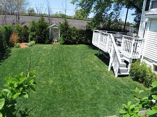 Yard