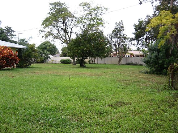 Backyard Partial View : Palm trees and fruit trees