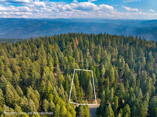 2875 Shoshone Dr, Camp Connell, CA 95223