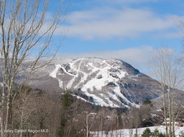 Lot 2 Ruth Court, Hunter, NY 12442