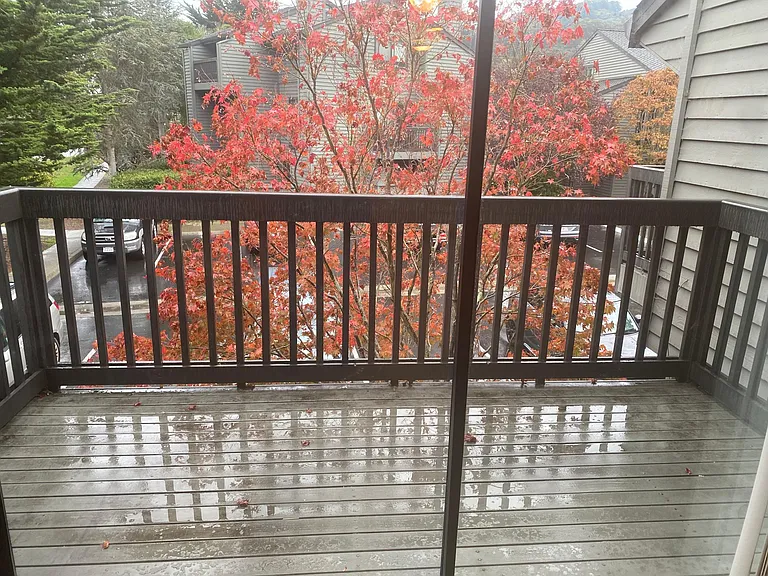 132 Cypress Pl — Photo 15