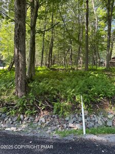 Oak Ter #227, Pocono Lake, PA, 18347
