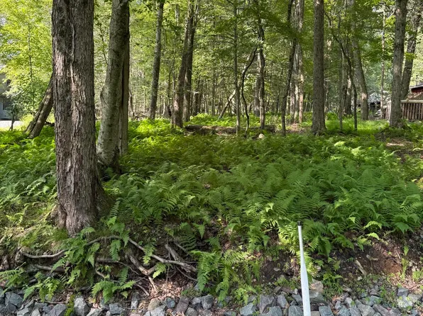 Oak Ter #227, Pocono Lake, PA 18347