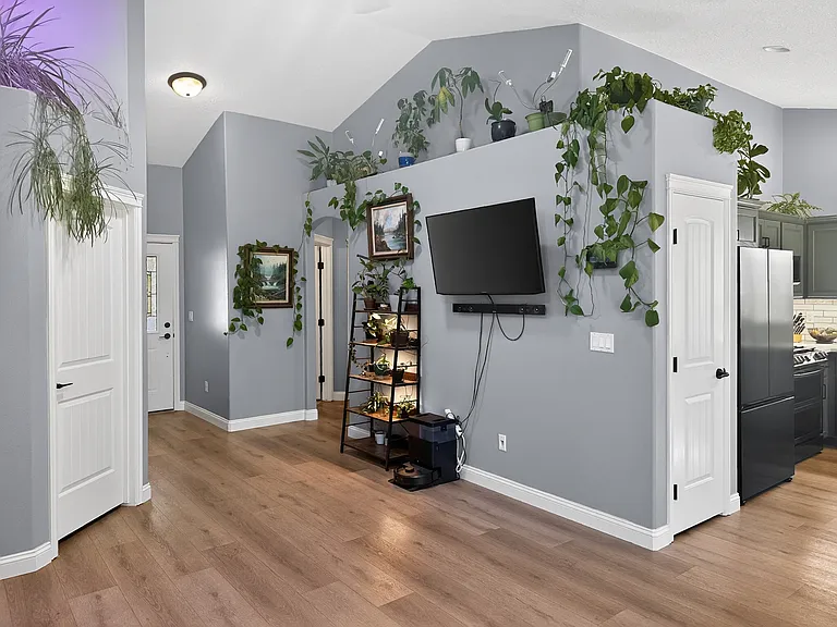 Swing-out TV mount