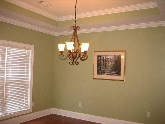 Dining Room with tray ceiling