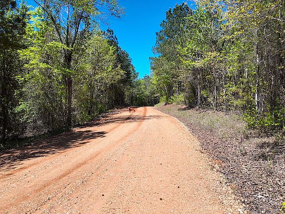2nd image of Clayborn Chapel Rd Lot Wp001