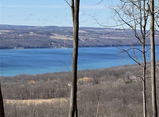 0 Satterly Hill Rd #8, Burdett, NY 14818