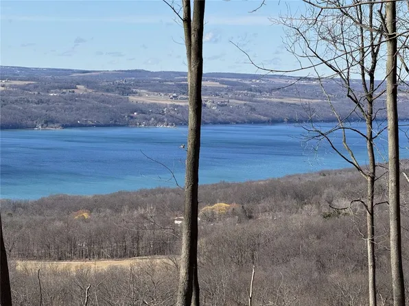 0 Satterly Hill Rd #8, Burdett, NY 14818