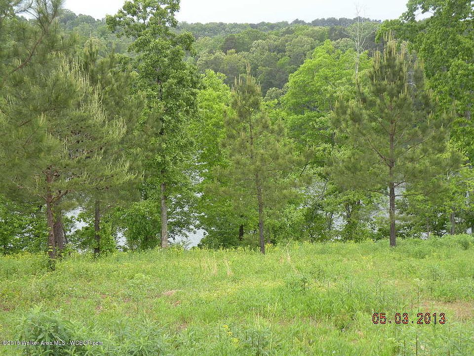 1st image of 224 County Road 907