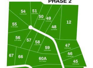 0 Raspberry Rd LOT 58, Highlandville, MO 65669