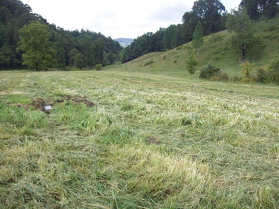 4th image of 0 Tazewell Hwy