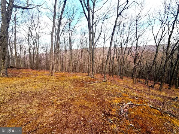 5 Preserve Rd, Maysville, WV 26833
