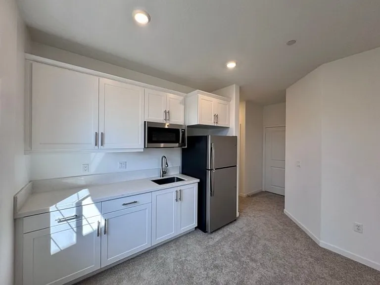 31133 Antares St — Photo 9