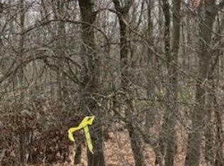 LOT 6004 Scenic Dr, Albrightsville, PA 18210