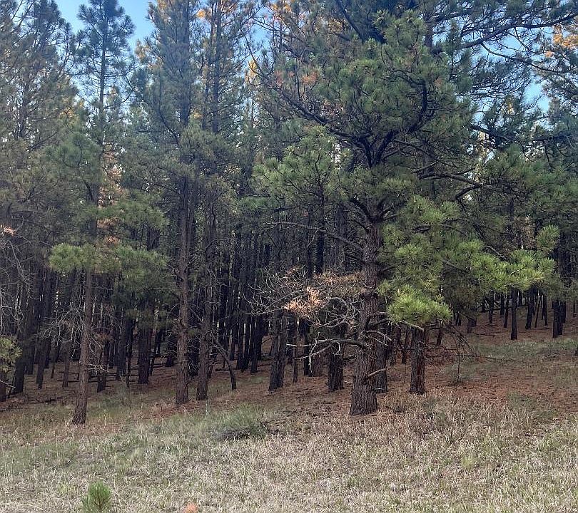 2nd image of 20 Valley Rd