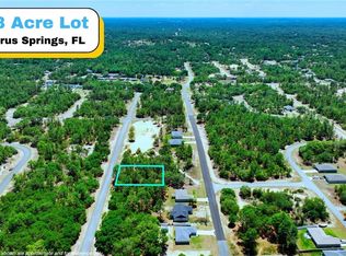 3111 W Redgate Dr, Citrus Springs, FL 34433