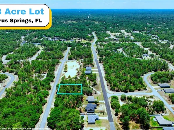 3111 W Redgate Dr, Citrus Springs, FL 34433