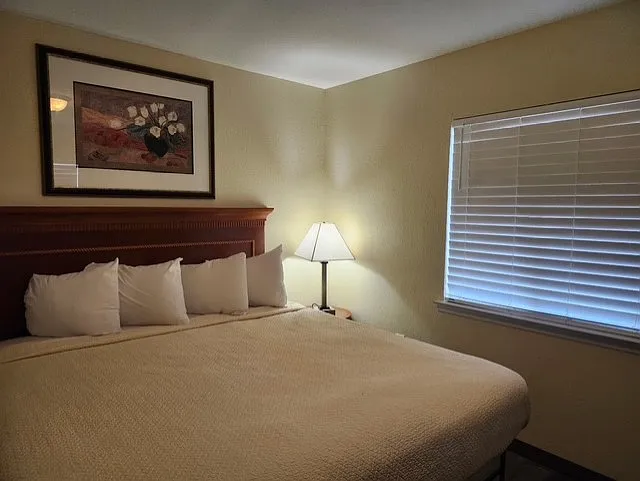 1 bed, 550 sqft, $1,700 — Photo 2